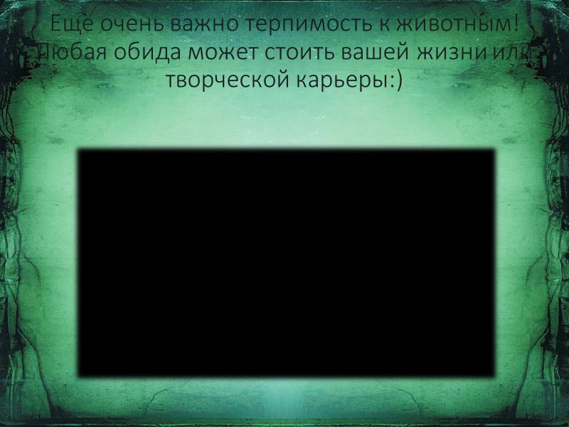 Еще очень важно терпимость к животным! Любая обида может стоить вашей жизни или творческой